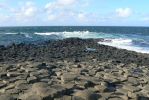 PICTURES/Northern Ireland - The Giant's Causeway/t_Close16.JPG